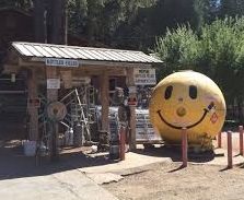 Rays General Hardware logo