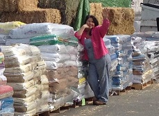 Aromas Feed & Ranch Supply logo