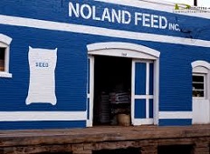 Noland Feed logo