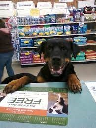 44 Livestock & Pet Supply logo