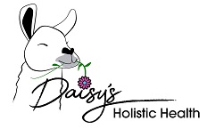 Daisys Holistic Health logo