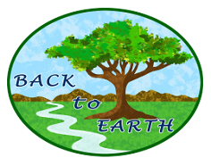 Back To Earth logo