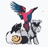 Creature Comforts logo