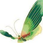 Garden Valley Vitamin Center logo