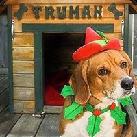 Kingsburg Feed Station logo