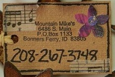 Mountain Mikes logo
