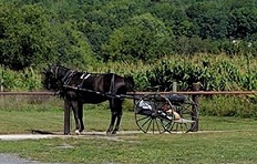Scenic Ridge Foods logo