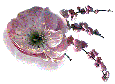 The Garden Song logo