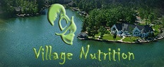 Village Nutrition logo